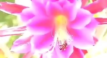  - 为了你我愿意