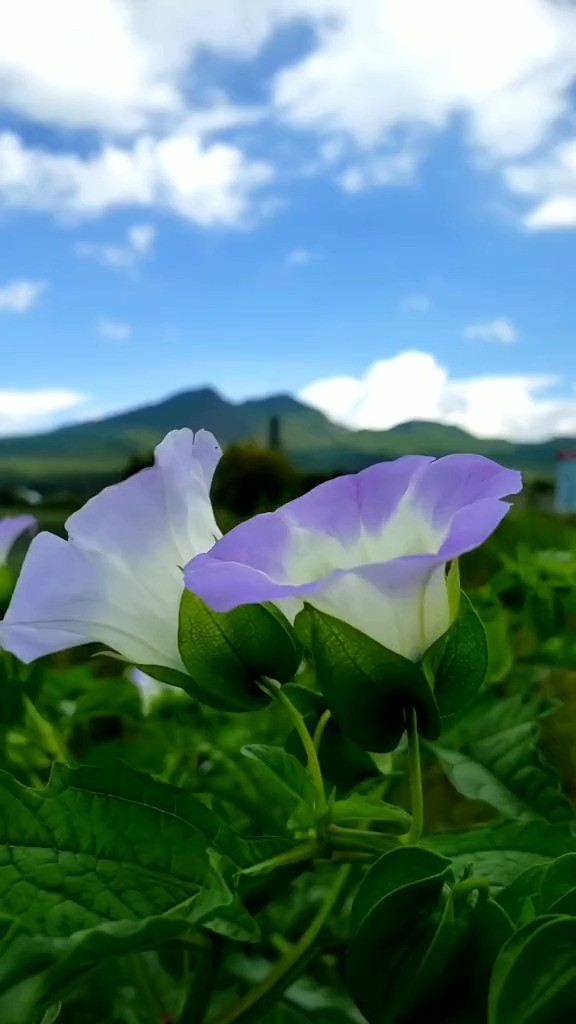  - 并不是有人懂你说出来的故事