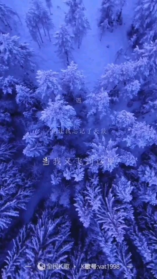  - （简单的《乌鸦》）🌝🌝