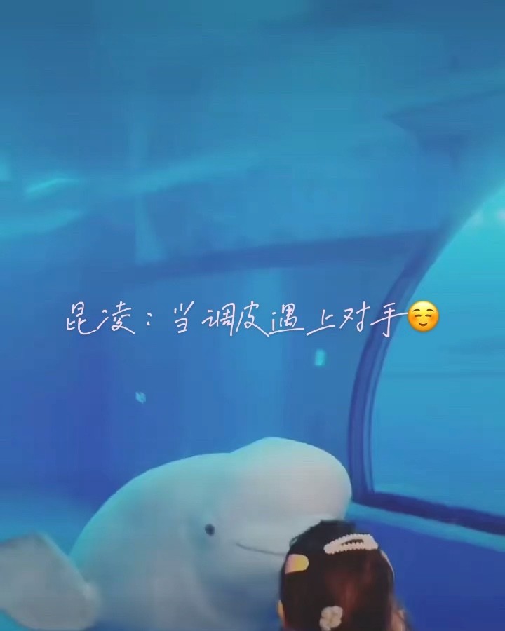 - 周杰伦昆凌夫妇带小周周去海洋馆!