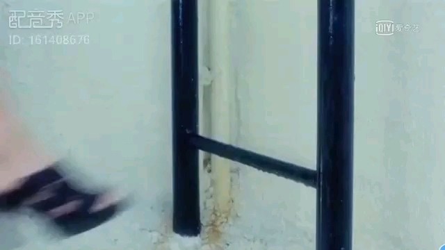  - 钟丽缇和李连杰