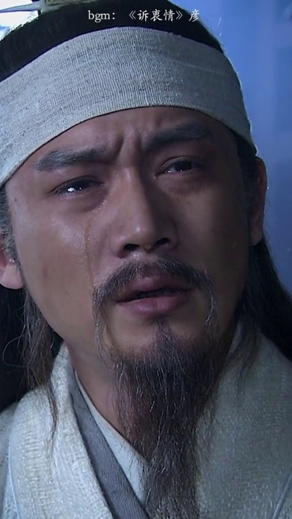 每次看到这段还是看哭  #诉衷情 #彦 #诸葛亮