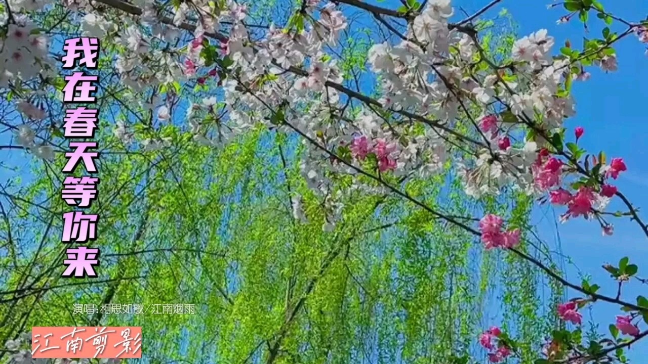 - 我在春天等你来