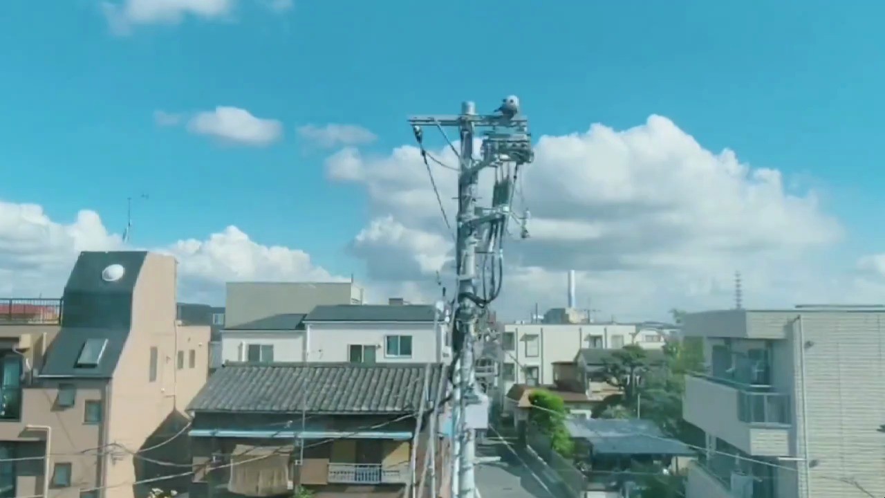  - 小猫多鱼《二次元的天空(热搜DJ舞曲)》- 电车外的天空