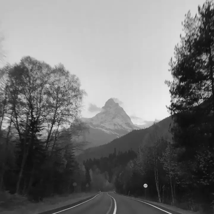 - I’m Not Going Back