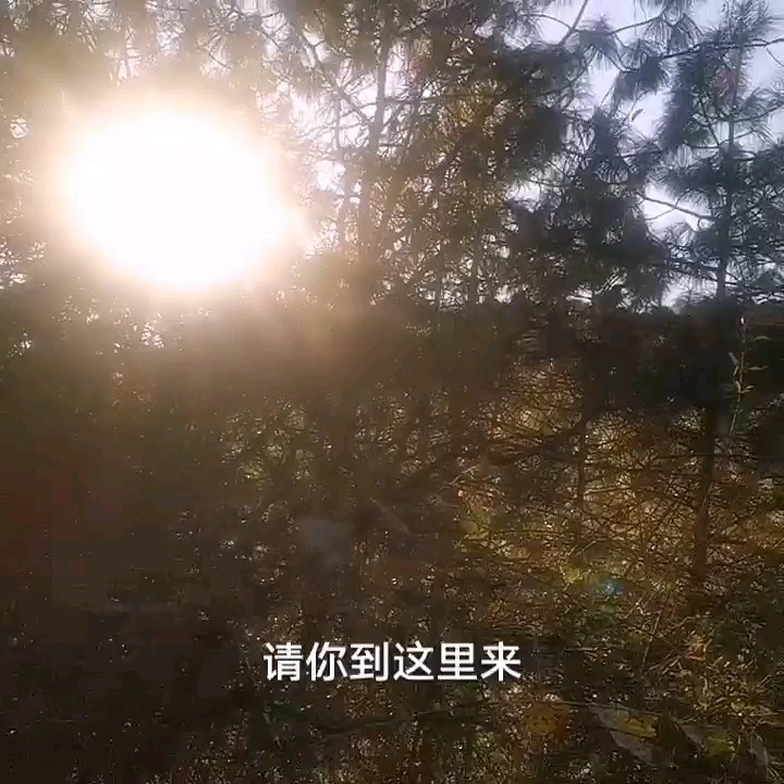  - 那里的山那里的水