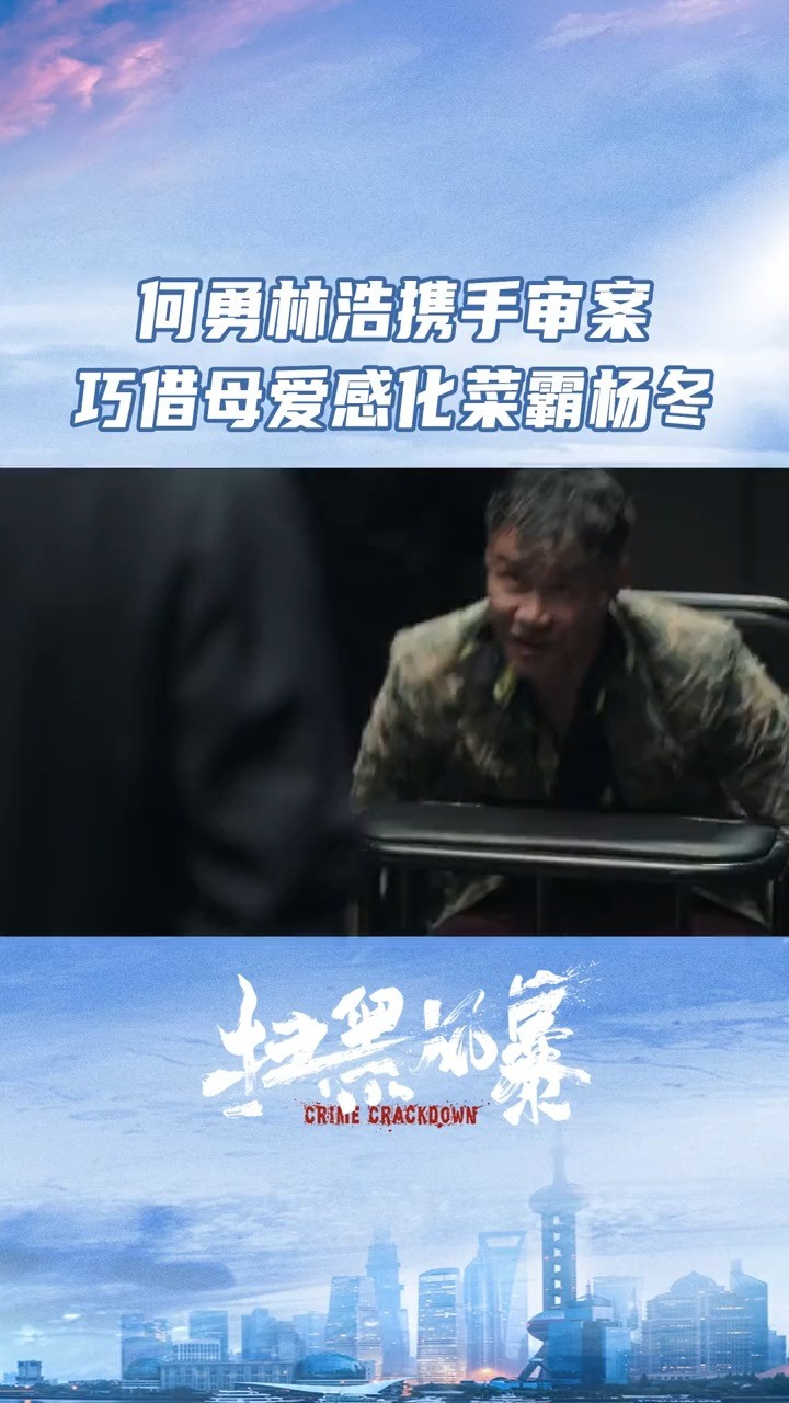  - 何勇林浩携手审案