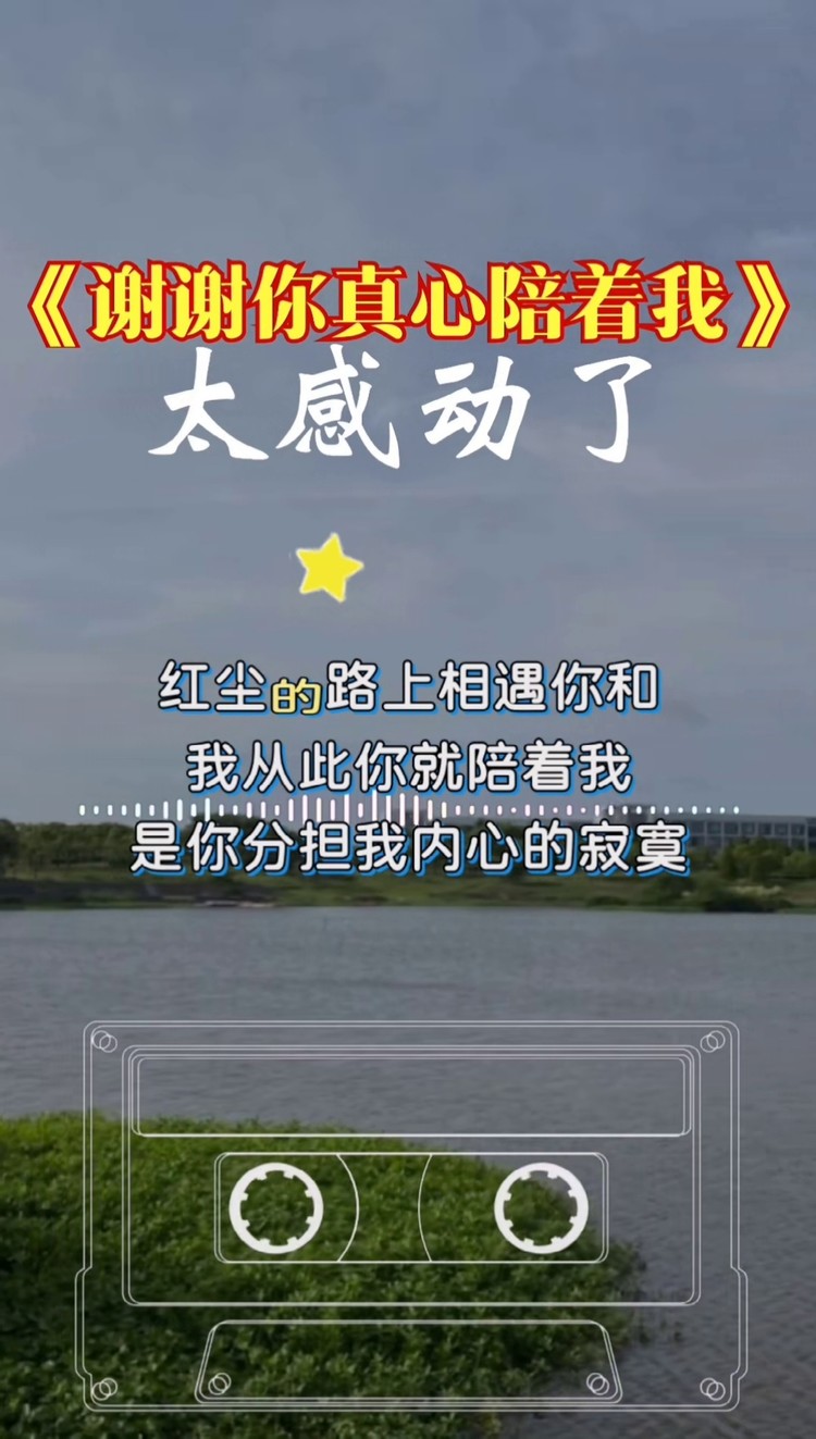 谢谢你真心陪着我 #好听