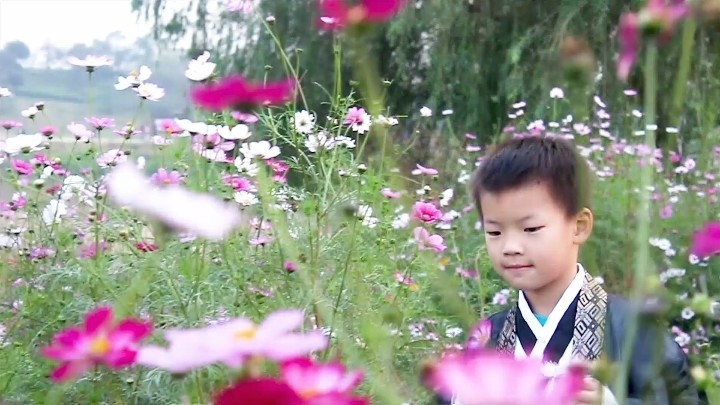  - 令人神往的仙侠生活～《回梦游仙》