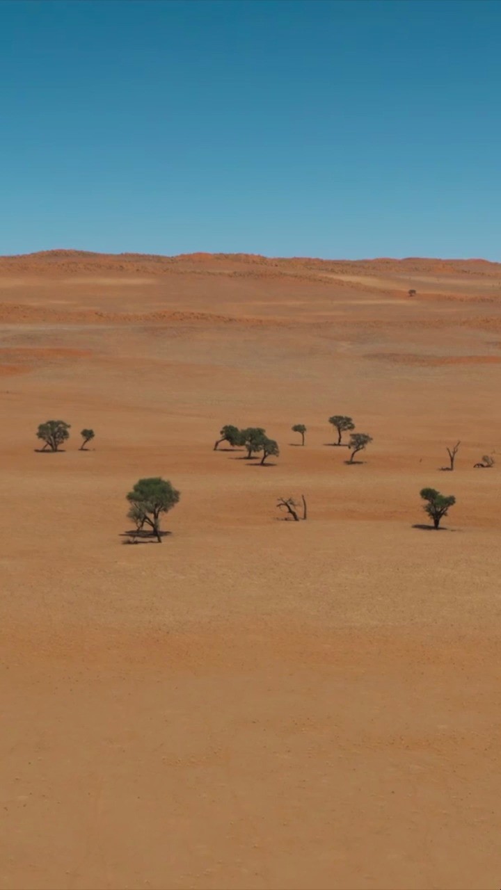  - 邱小龙-二十八