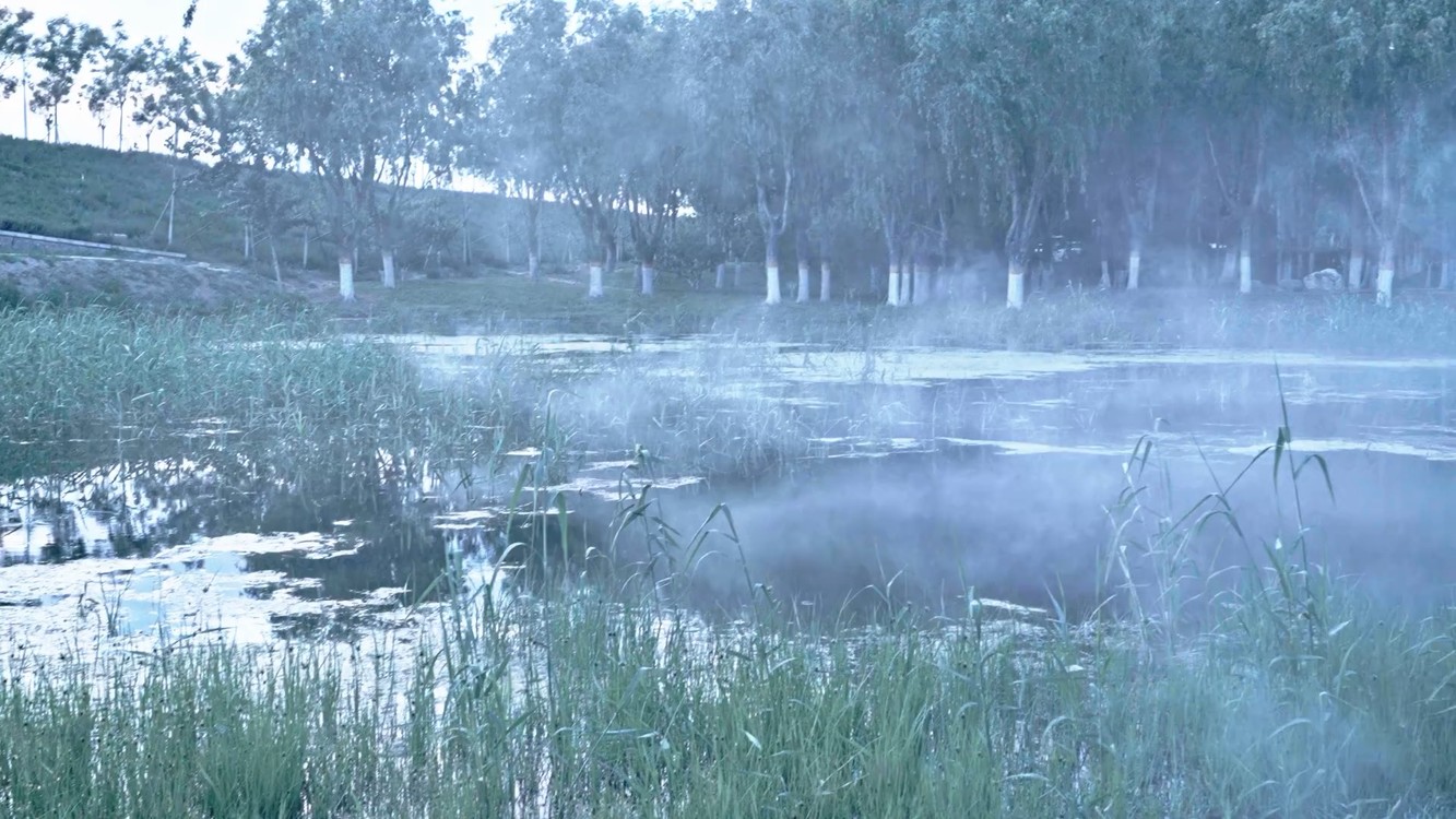  - 刘炀 卧室即兴计划《气味》