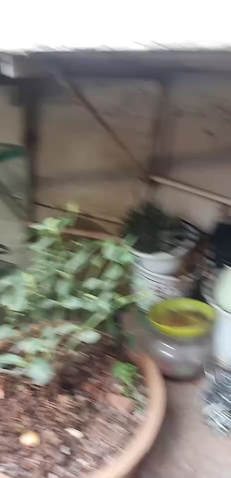  - 出站的第一时间