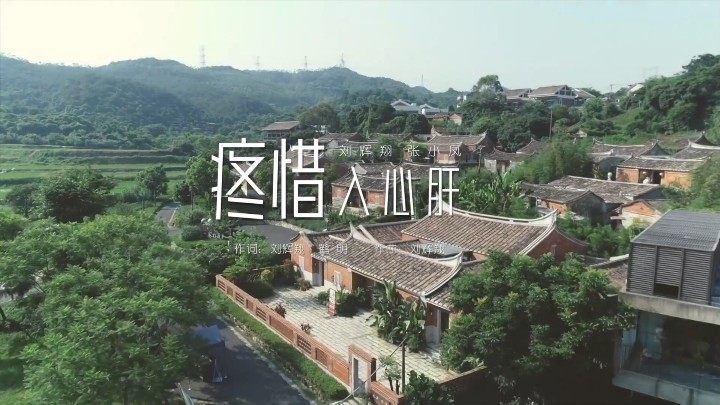  - 刘辉翔、张小凤 - 疼惜入心肝（缺男声）