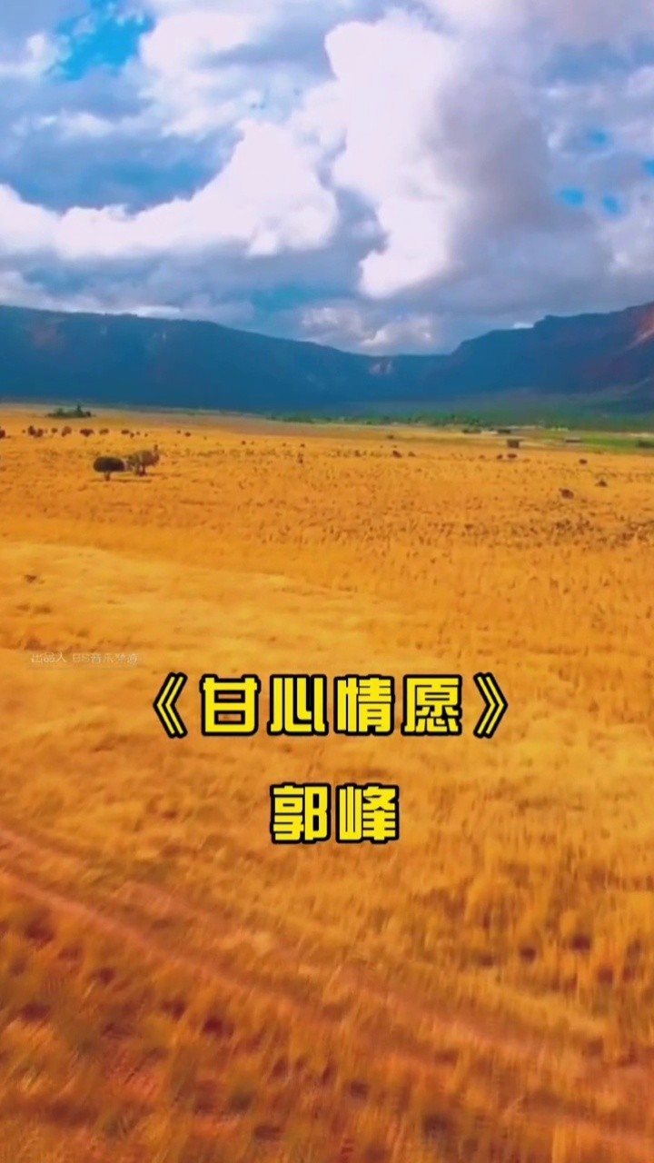 经典老歌甘心情愿郭峰多少岁月已流走多少时光一去不回头曾经的我们