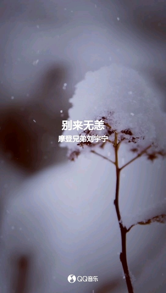 刘宇宁《别来无恙》