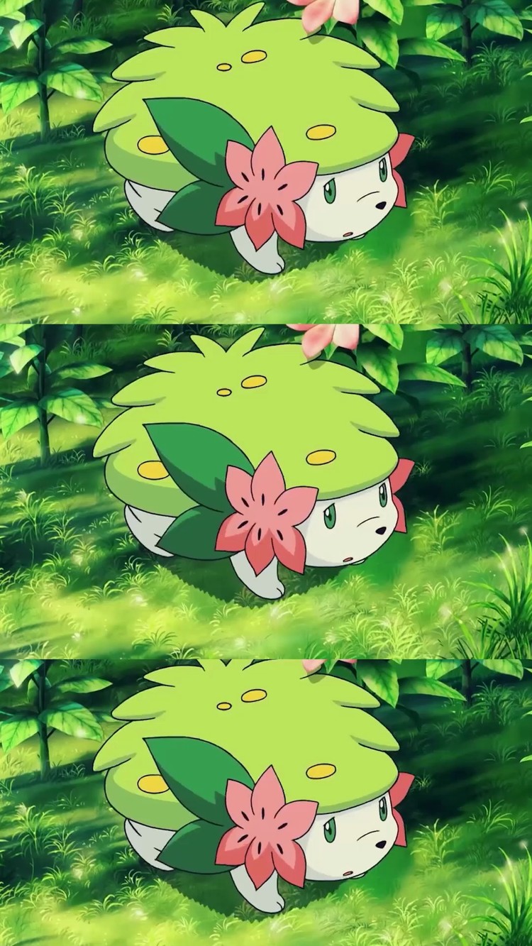 - 让每一天都安宁如水 让每一天都岁月静好