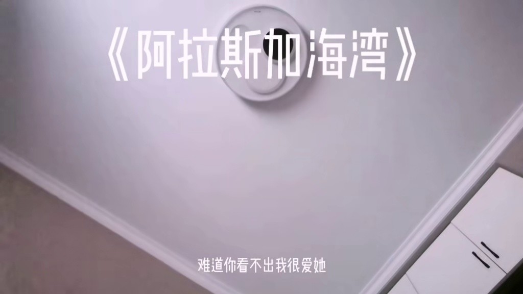 海面呈现两个颜色,由于密度关系,两片海不能融为一体"#阿拉斯加海湾