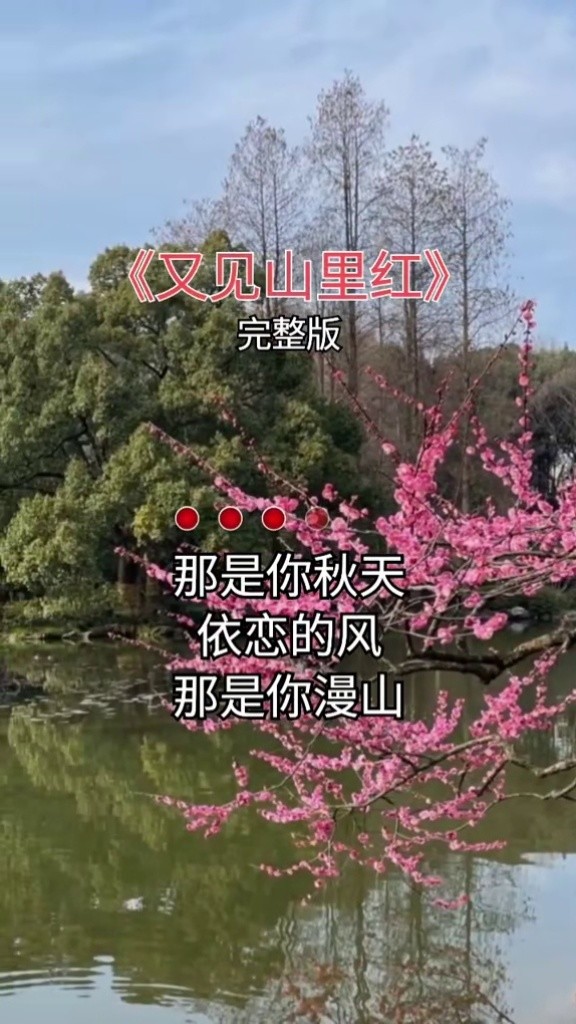 广场舞广场舞零基础学舞舞蹈简单的舞步又见山里红