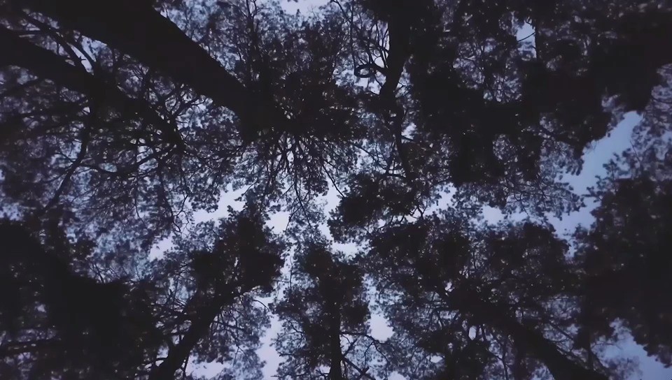 - 取悦自己才是最大的快乐