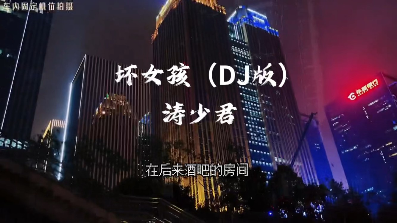  - 坏女孩（DJ版）-涛少君