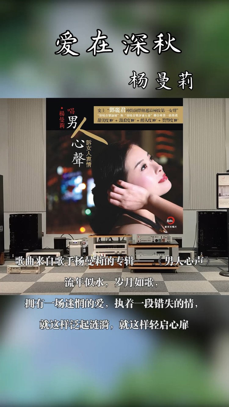  - 最像邓丽君的女声