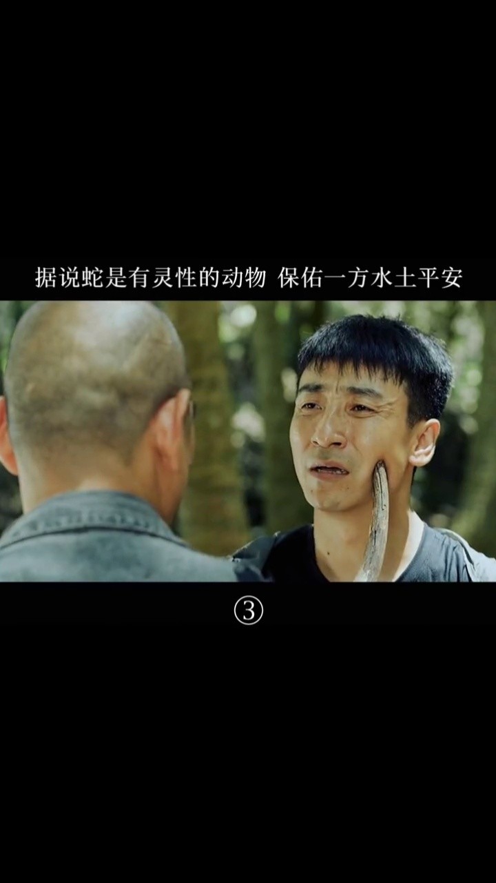 我去吃树根也不去惹他电影蛇王2021