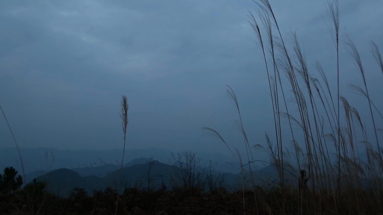 - 闫辽艳-我愿菩萨保佑你MV