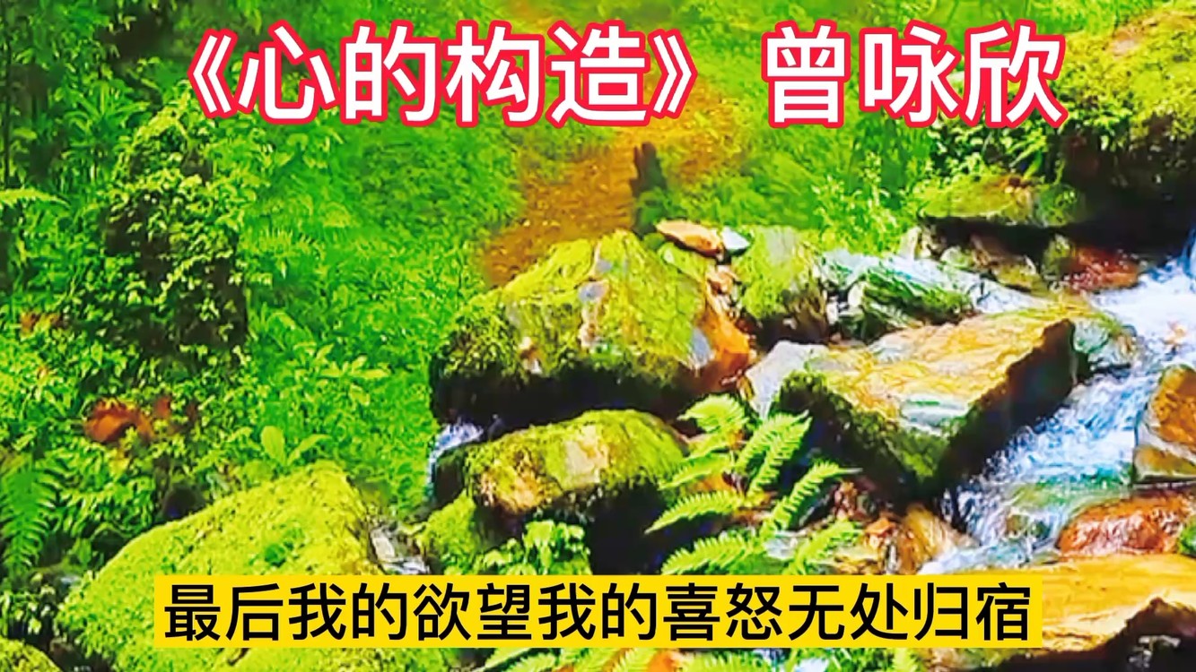  - #心的构造是曾咏欣的