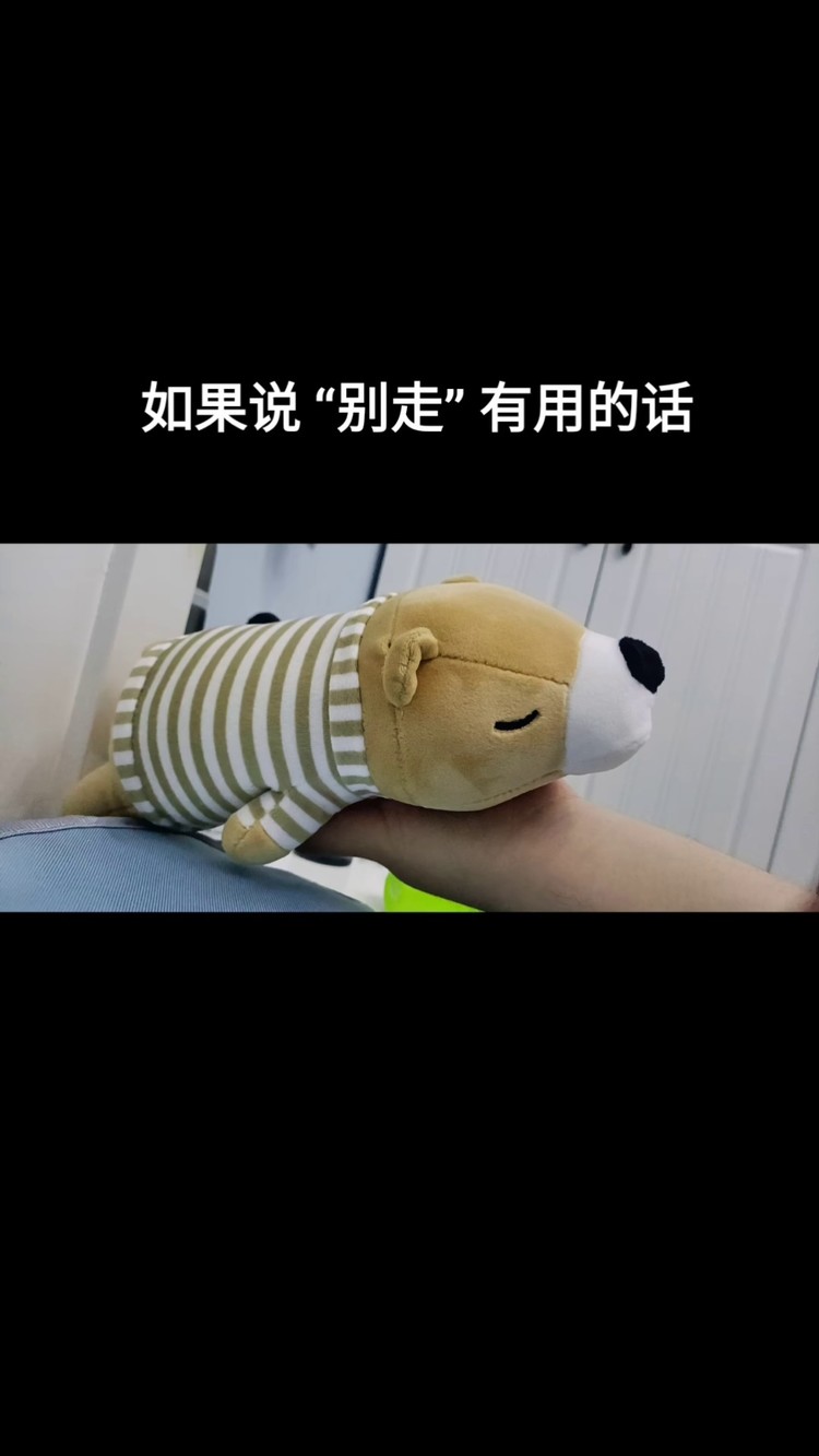 如果你听到我说 "别走" 有用的话 #音乐 #音乐推荐