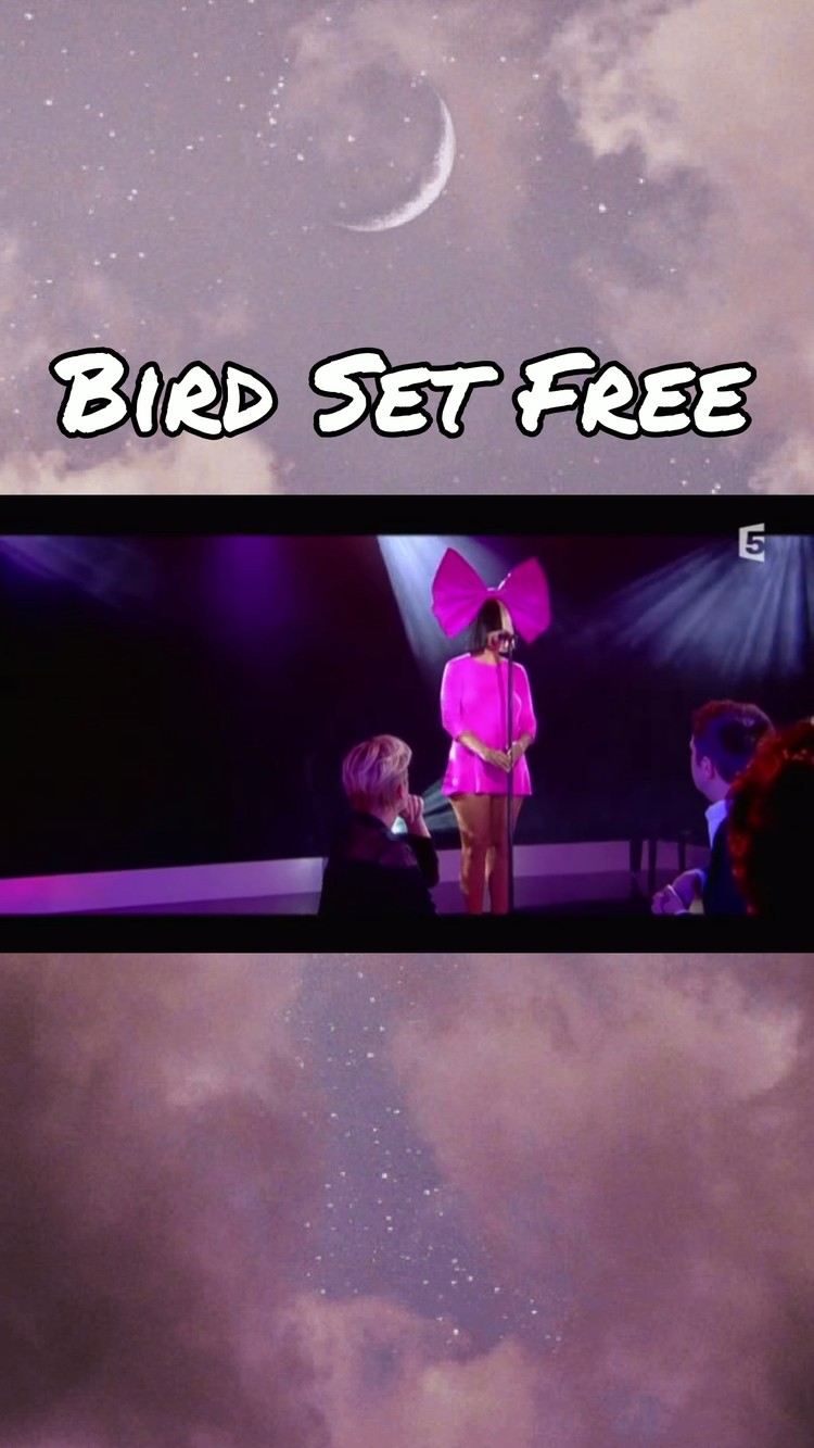 sia《bird set free》希雅粉色蝴蝶结造型出席