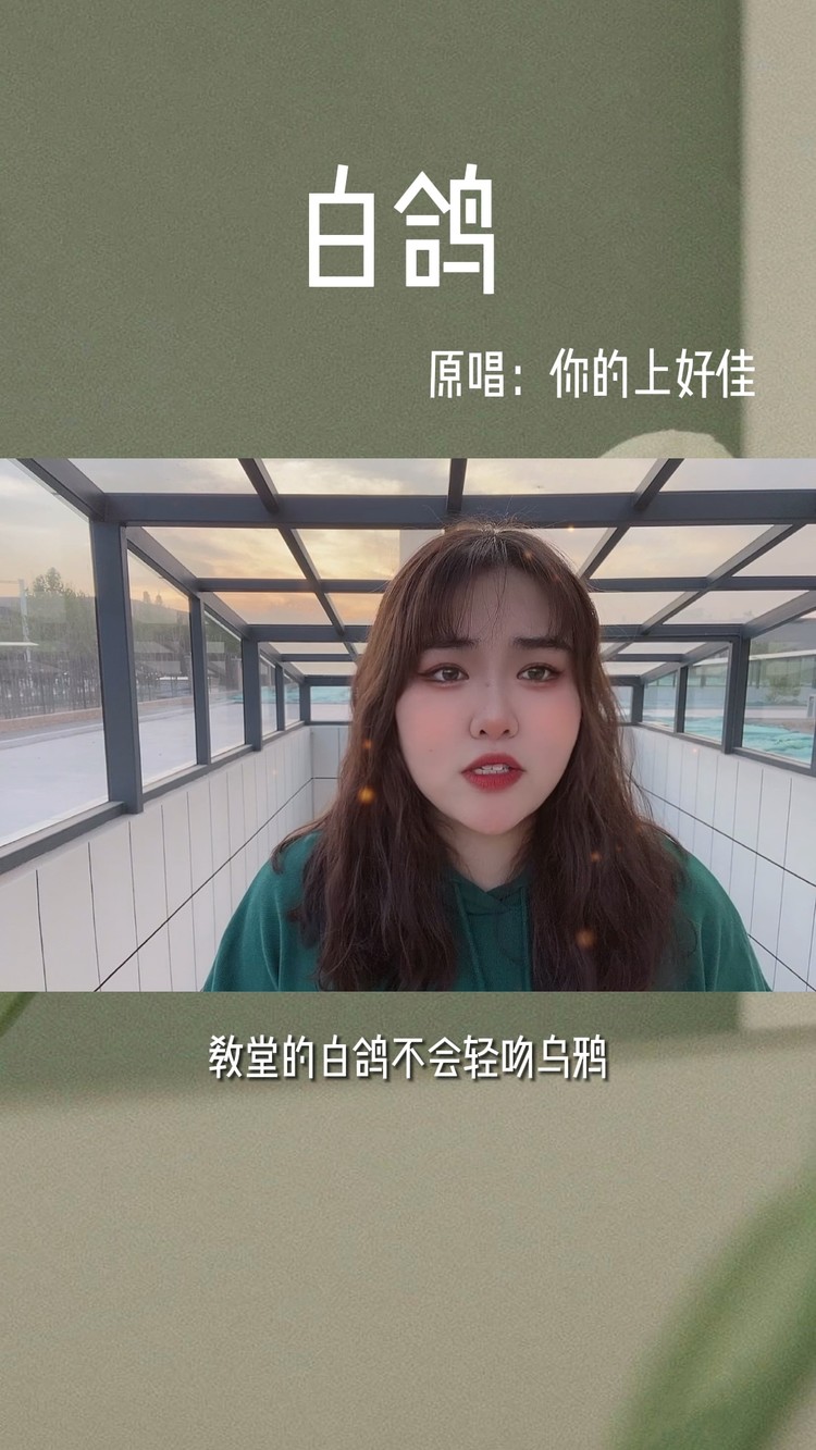  - 白鸽