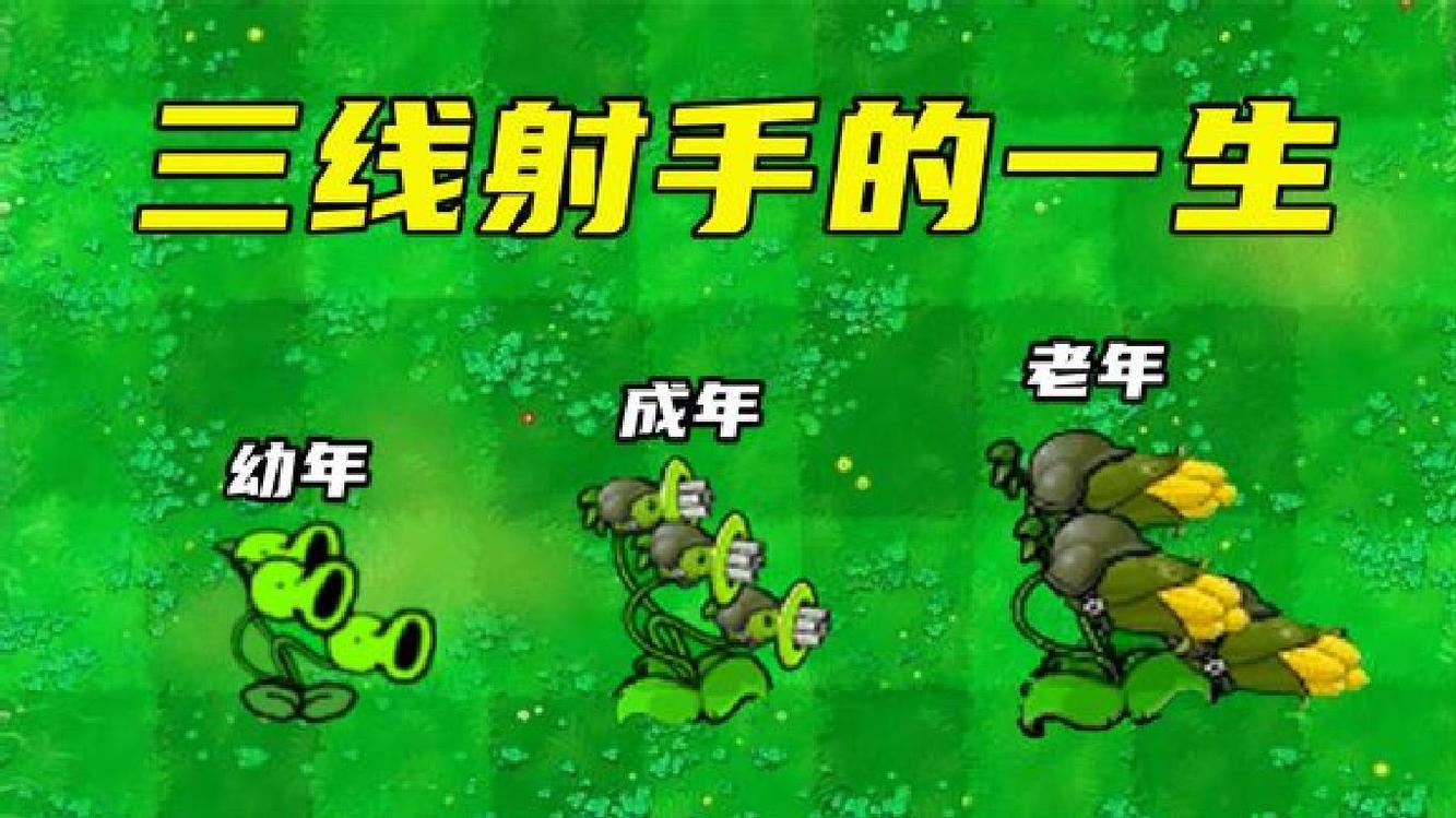 三线射手的一生,老年挑战10个僵王博士!万物皆可植物大战僵尸