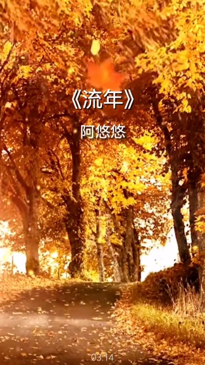 阿悠悠新歌流年我自策马纵身南北于天涯回望春水