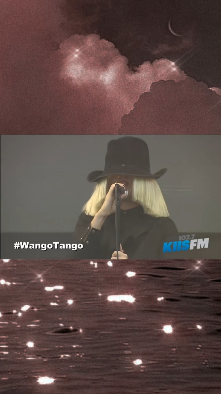 sia《elastic heart》黑白的外表下隐藏着爆发力极强的嗓音