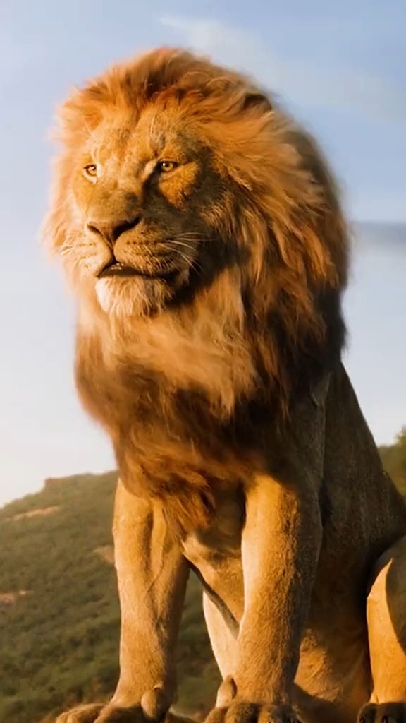 木法沙对辛巴的教导