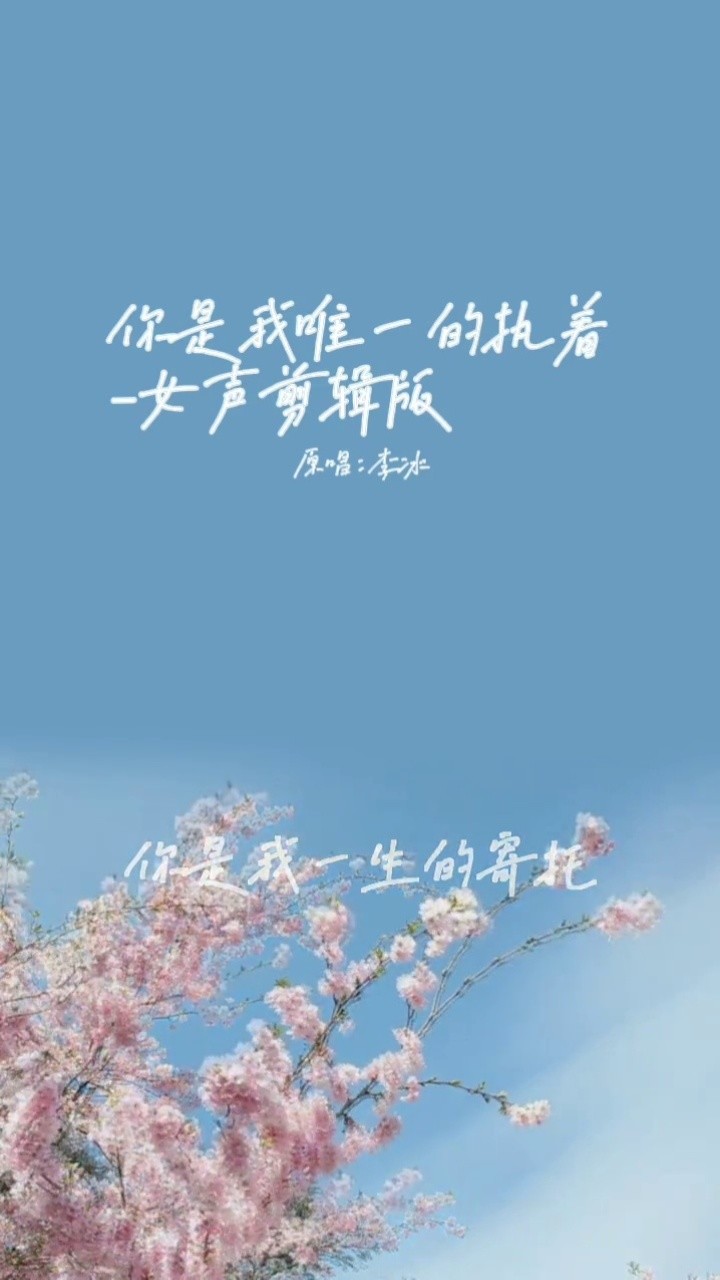 你是我唯一的执着