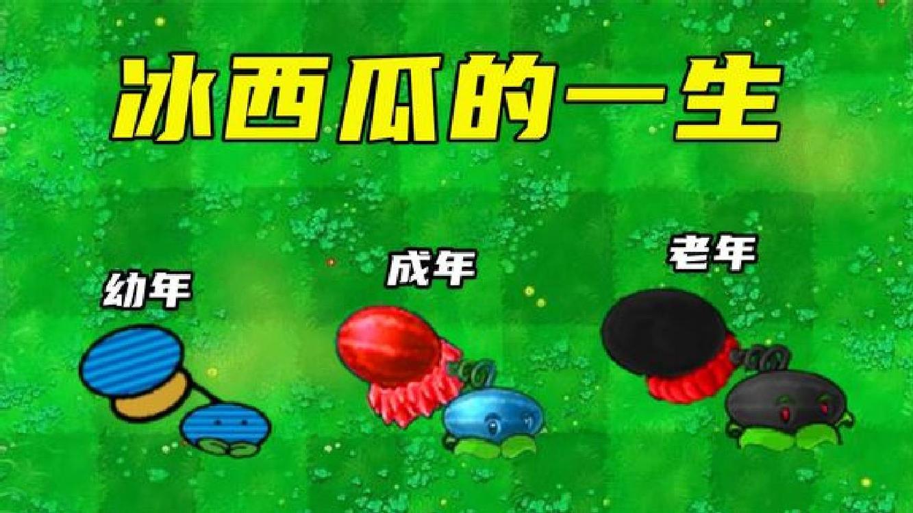 冰西瓜投手的一生,越热越强!最终变黑了?植物大战僵尸