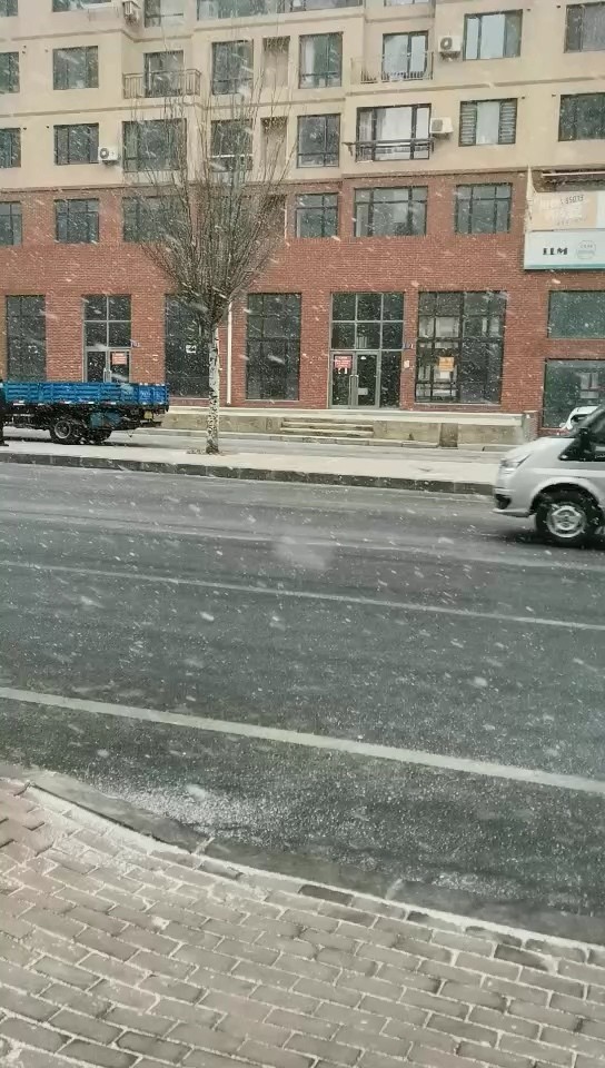  - 风儿吹 雪花飘