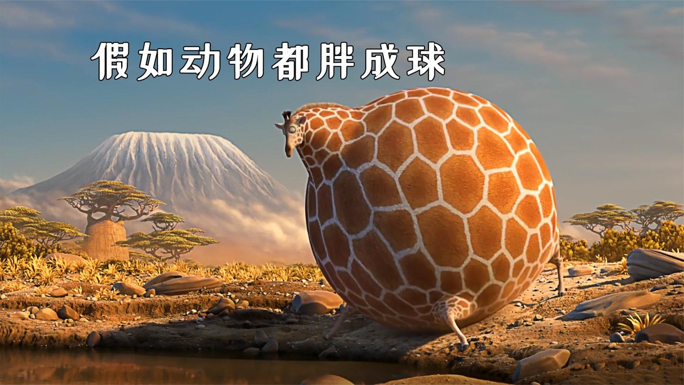 假如动物都胖成球,原谅我非常不厚道地笑了