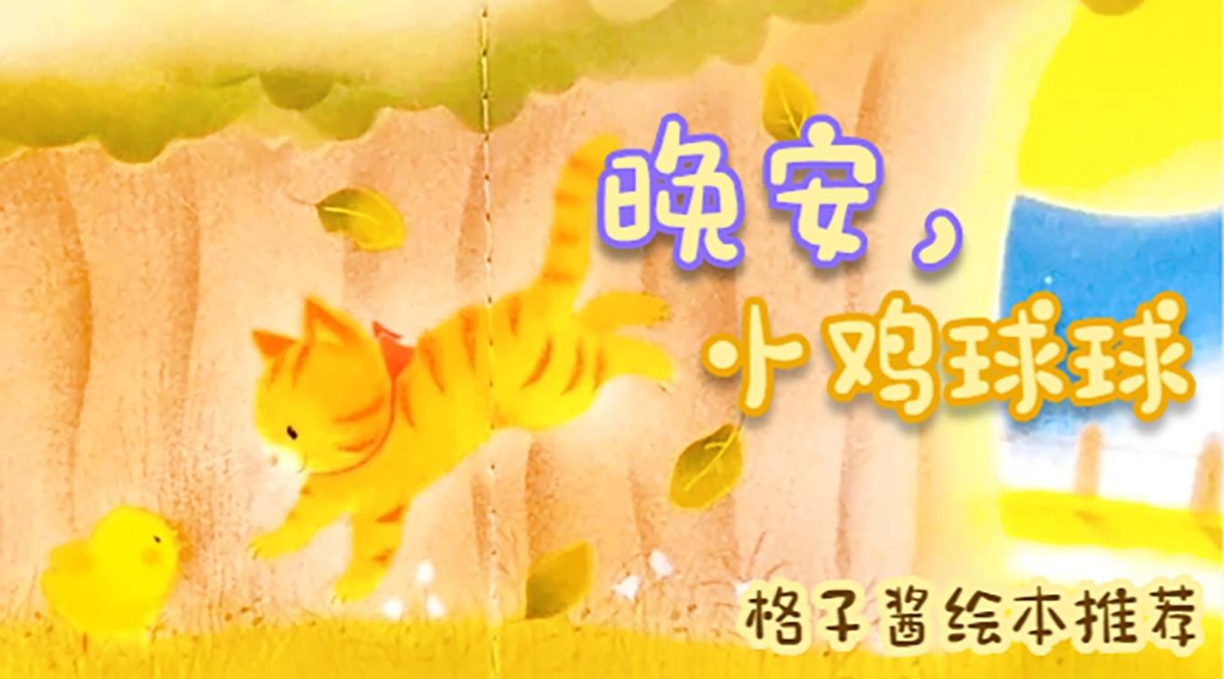 小鸡球球的绘本故事《晚安,小鸡球球》