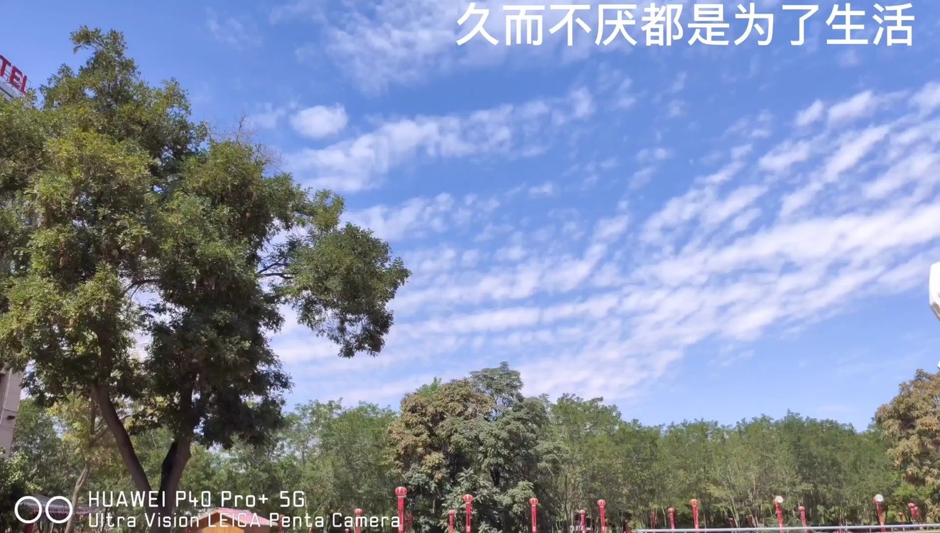 - 他冒一筐大梦一场空