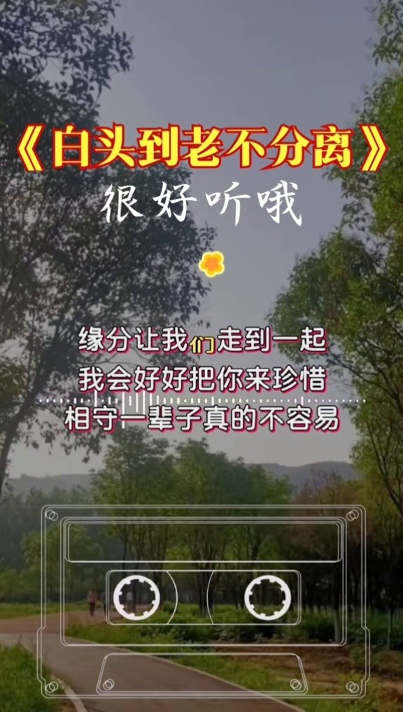 我给大家带来一首白头到老不分离