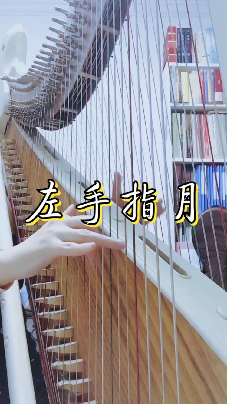 - 【箜篌】左手指月