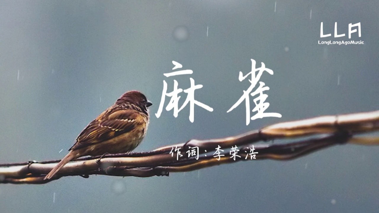 麻雀-李荣浩 「我飞翔在乌云之中  你看着我