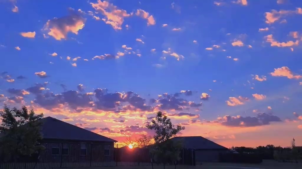  - 不是我拍的，但是非常喜欢