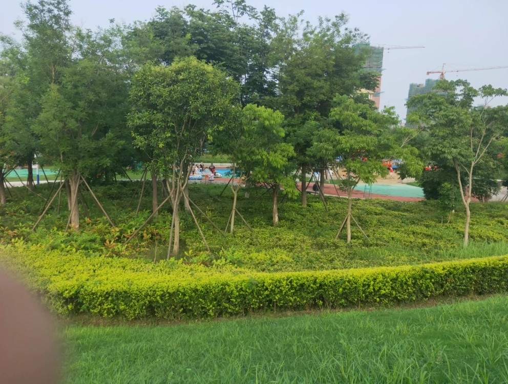  - 太和湿地