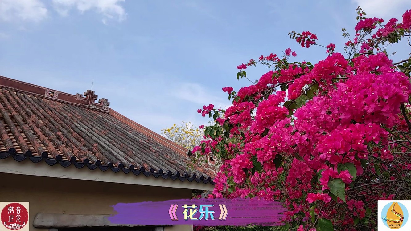  - 乐道五音八声乐药同源养生音乐《花乐》