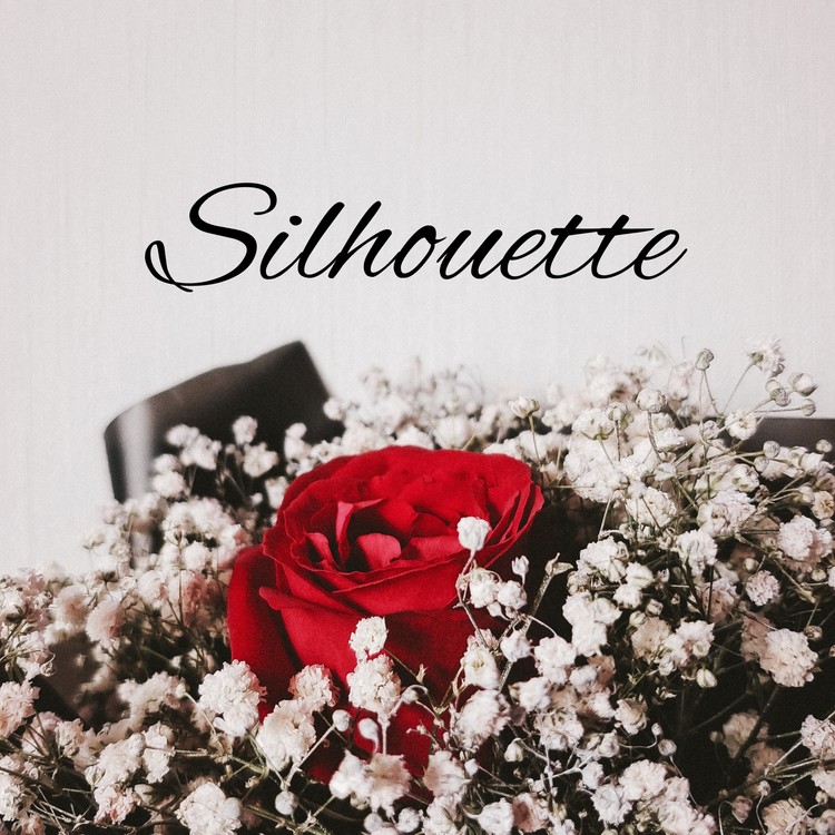  - 【官方MV】Silhouette