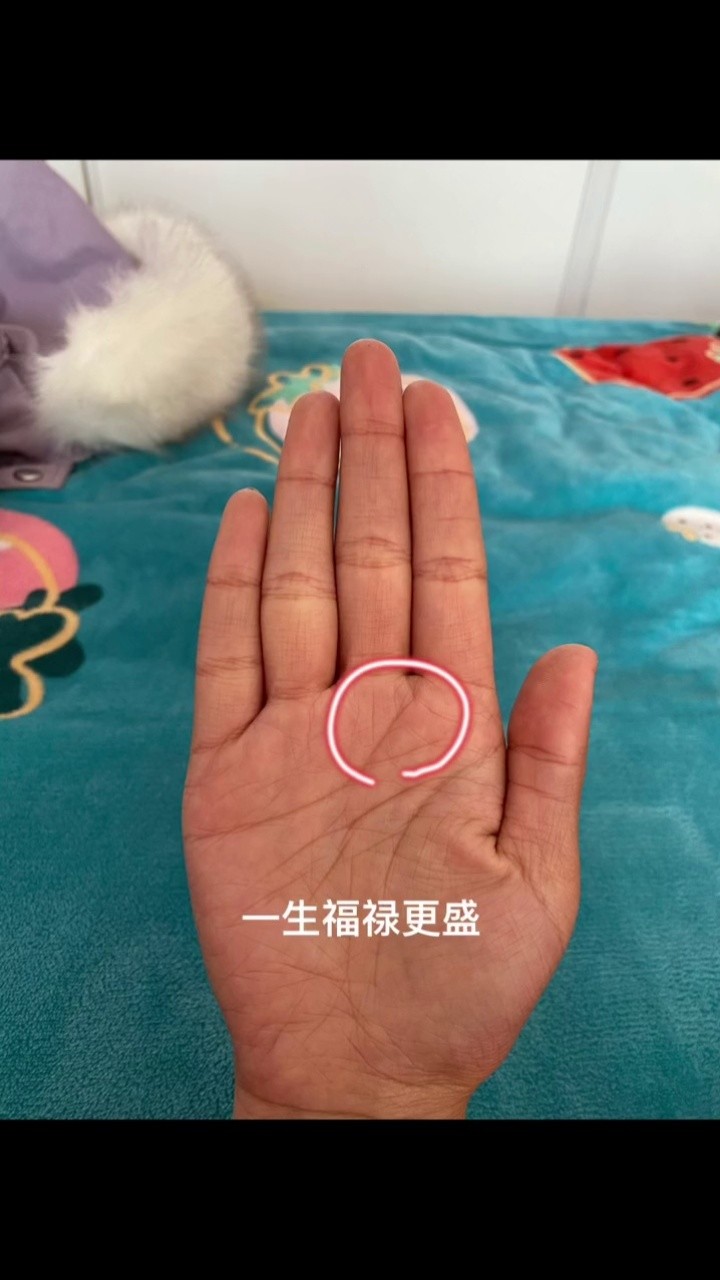 掌纹 #掌纹线 清闲是有了  请问富贵啥时候才能来?