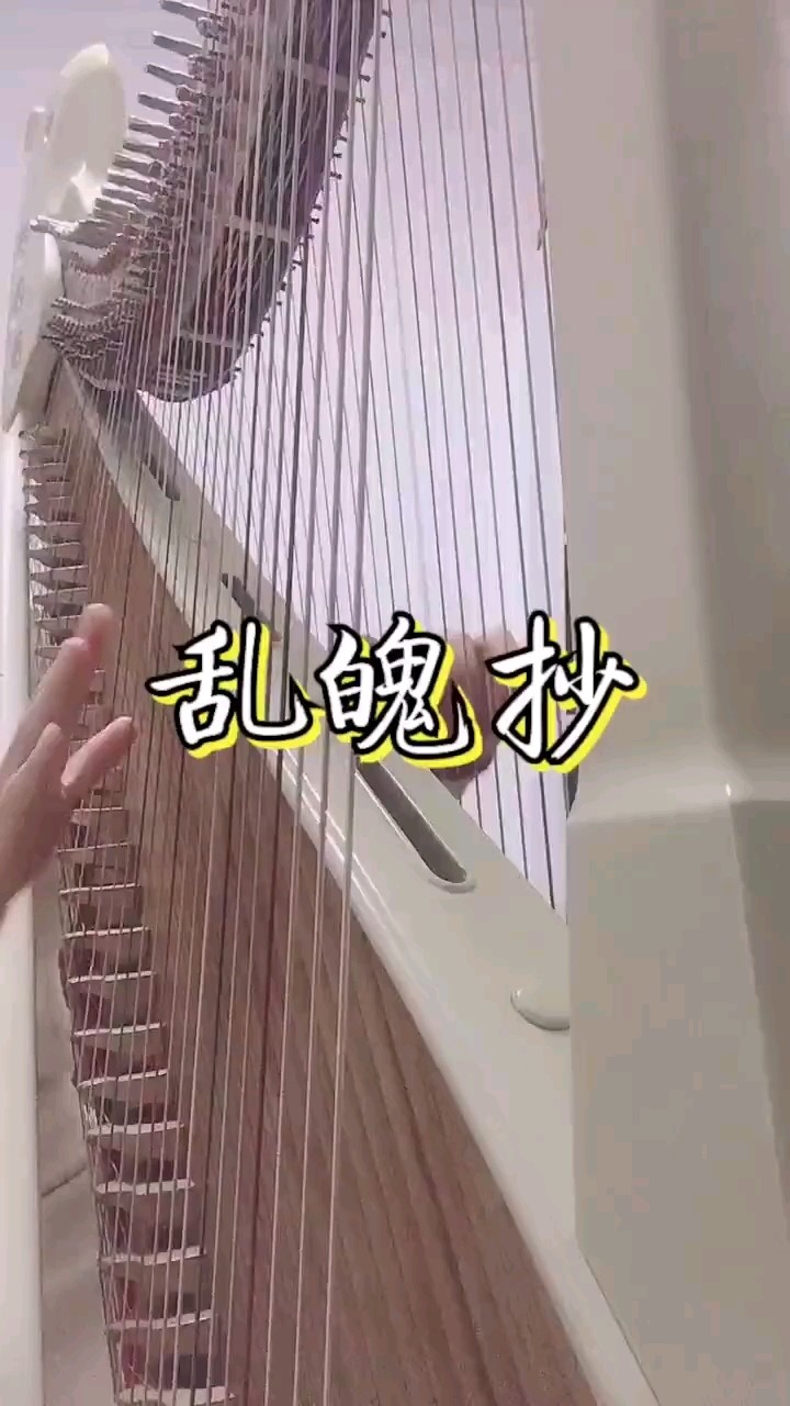 - 【箜篌】乱魄抄